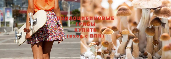 молекула духа Алексин