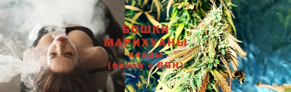 дживик Пересвет