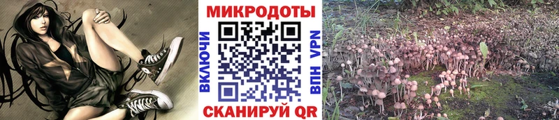 МЕГА ТОР  Ардон  Псилоцибиновые грибы Psilocybine cubensis 